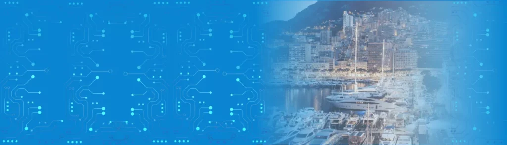 Custom Software Development Companies in Monaco